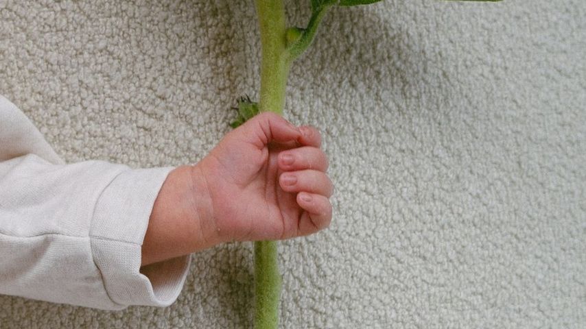 Die Hand von Álvaro Solers Tochter