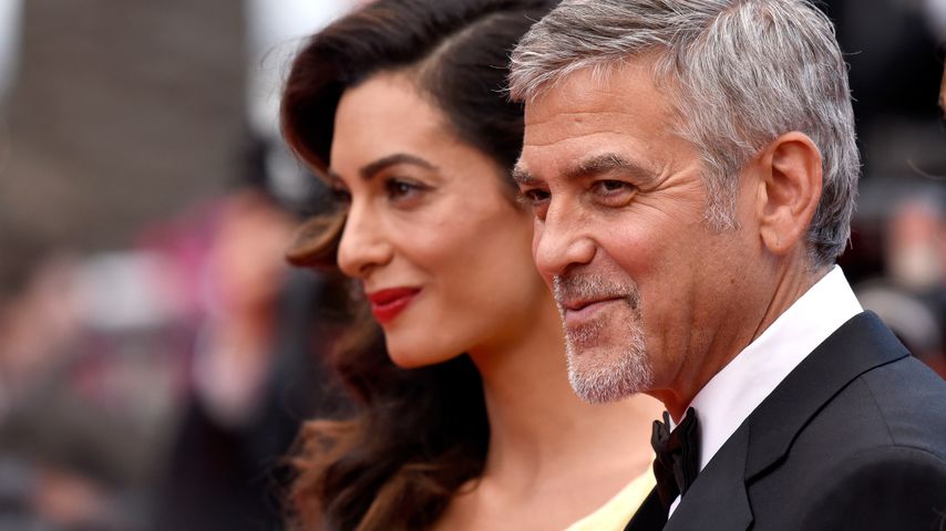 Amal verbietet es: George Clooney will Schönheits-Eingriff