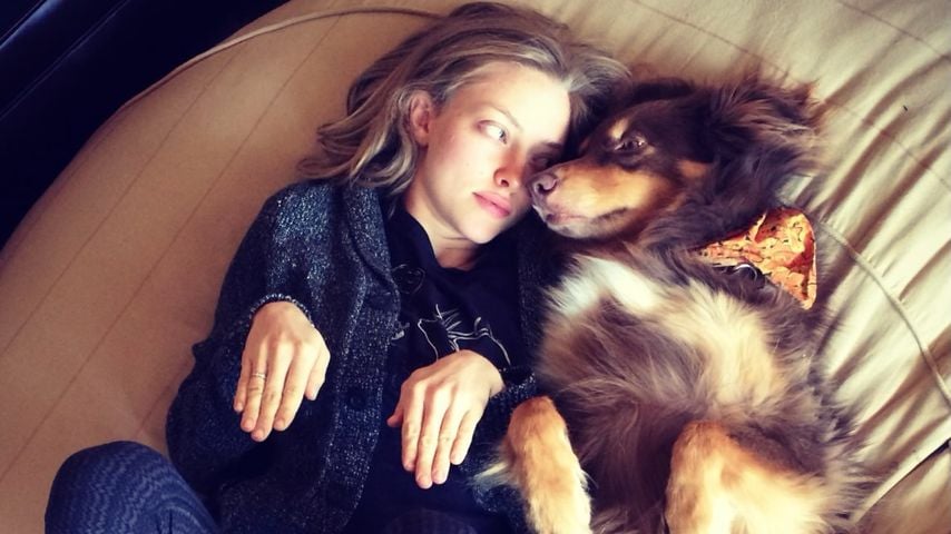 Amanda Seyfried und ihr Hund Finn