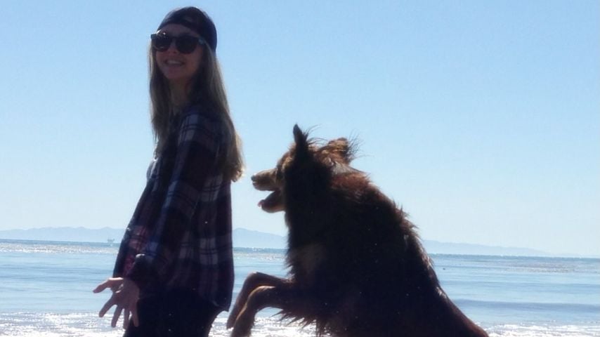 Amanda Seyfried und ihr Hund Finn
