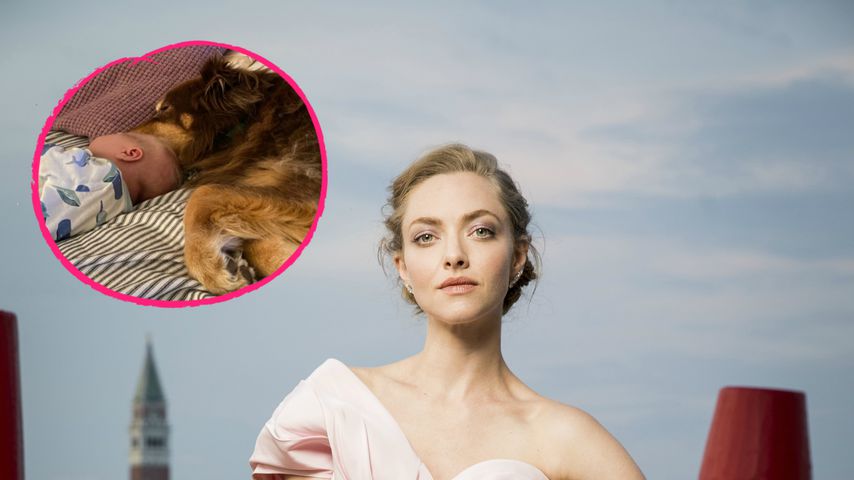 Wie süß! Amanda Seyfrieds Baby schlummert neben ihrem Hund