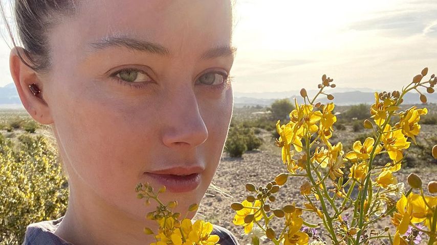 Amber Heard im Jahr 2020