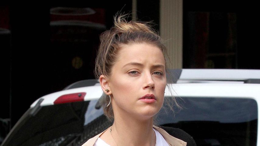 Amber Heard mit ihrem Hund Pistol