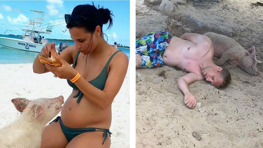 Saumäßiger Urlaub? Amira und Oli entspannen auf den Bahamas