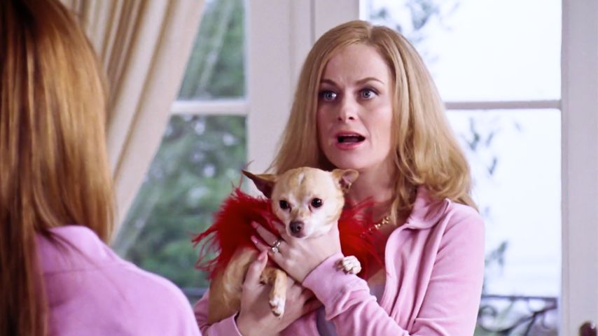 Amy Poehler zeigt erstmals ihren neuen Freund