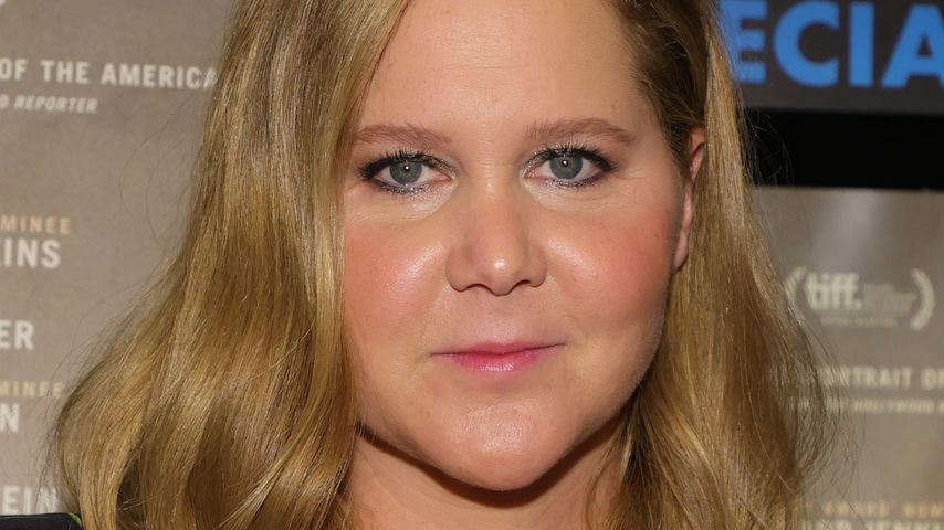 Amy Schumer, Komikerin