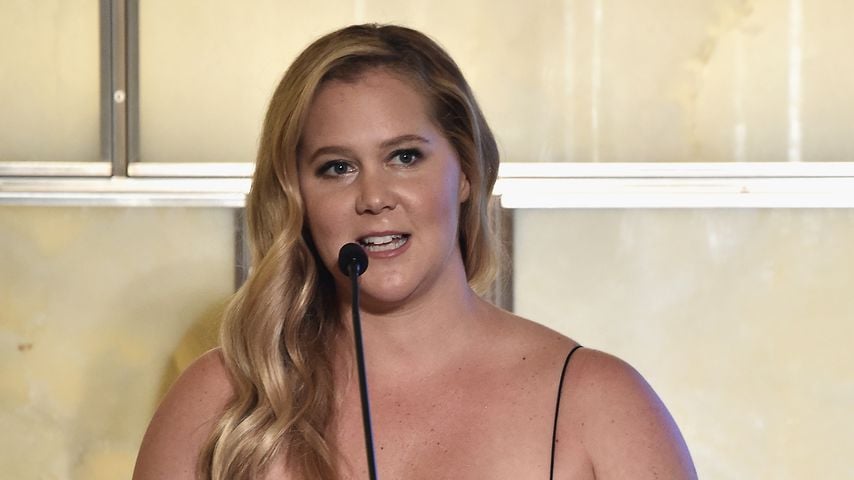 Amy Schumer, TV-Bekanntheit