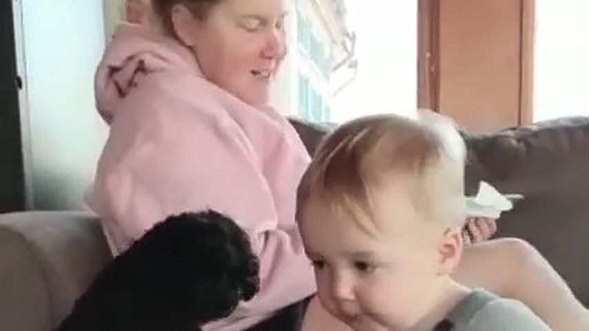 Dauer-Hunger: Amy Schumers Söhnchen und Hund randalieren!