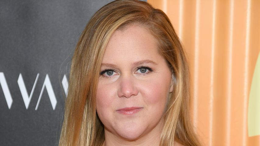 Amy Schumer, Comedian