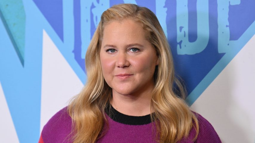 Amy Schumer, Comedienne