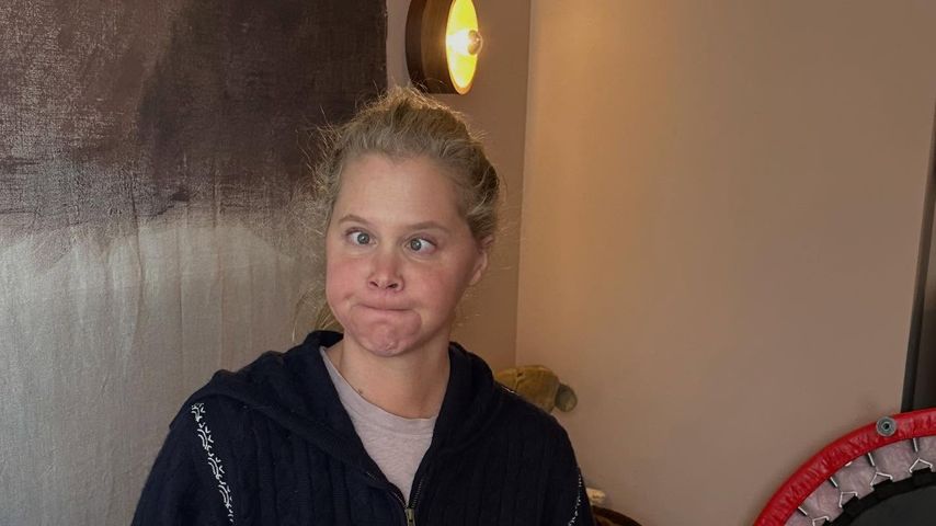 Amy Schumer, Silvester 2025