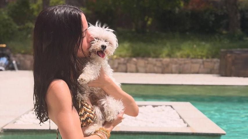 Schauspielerin Ana de Armas im knappen Bikini und ihr Hund genießen den Urlaub am Pool.