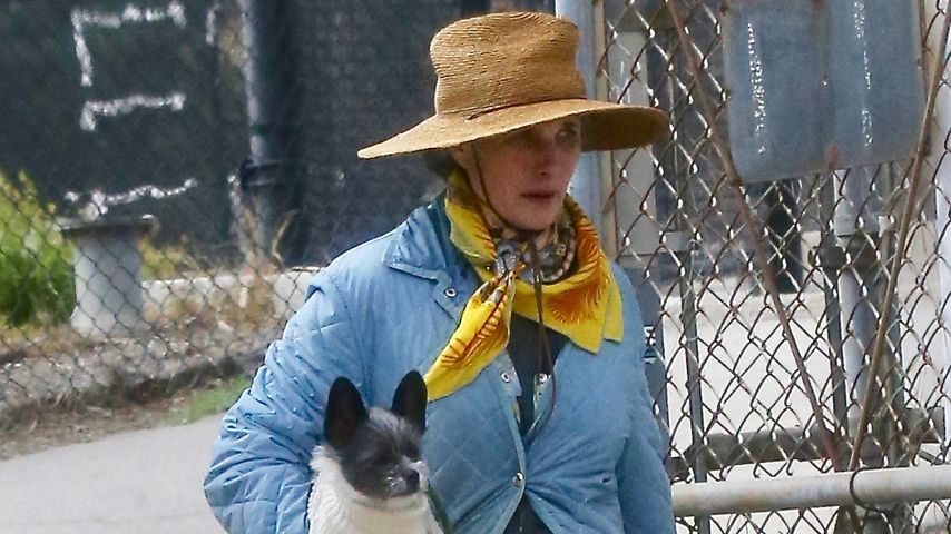 Andie MacDowell geht mit ihrem Hund spazieren