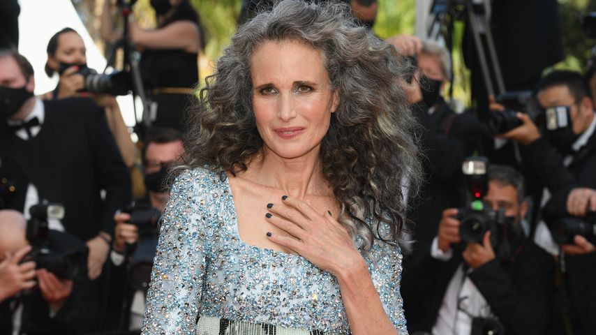 Andie MacDowell will lieber ein Pferd als einen neuen Mann!