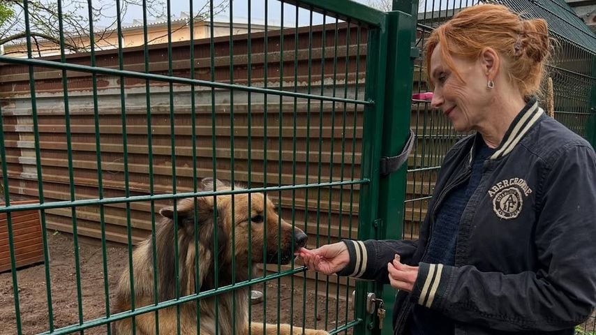Andrea Sawatzki rettet rumänische Straßenhunde vor dem Tod