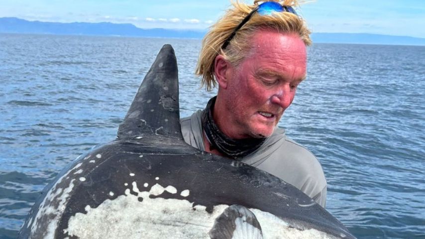 Andreas Kieling, Tierfilmer