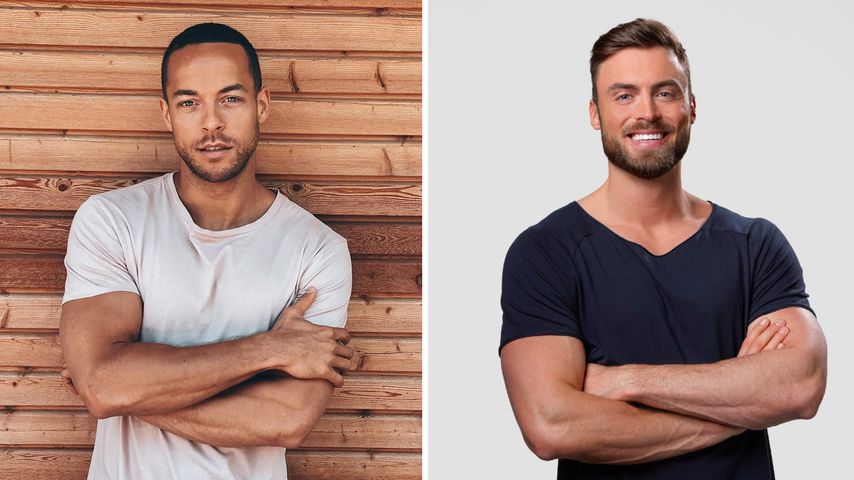 Bachelor-Korb nach Kuss: Andrej Mangold kann Niko verstehen