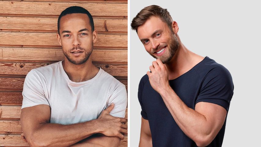 Andrej mahnt: Macht Bachelor Niko zu viele Komplimente?