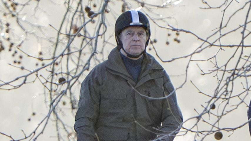 Nach Epstein-Enthüllungen und Verhör: Andrew hat Reitverbot