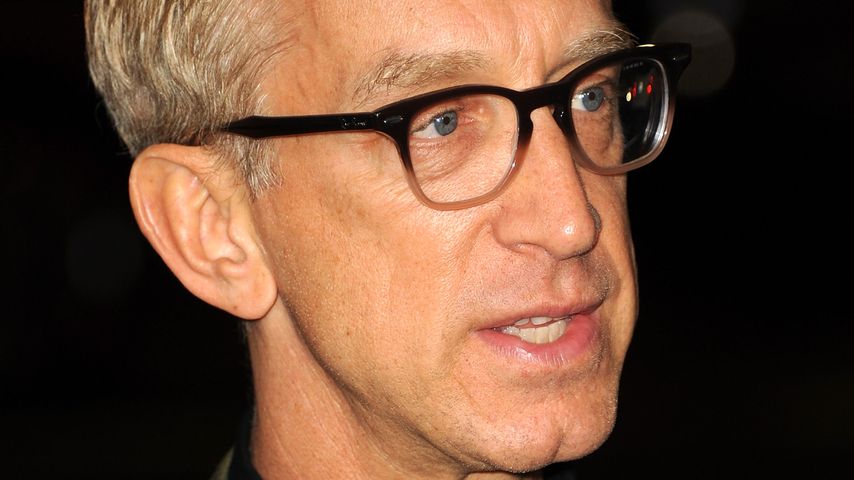 Vorwurf wegen sexueller Nötigung: Andy Dick wieder verhaftet