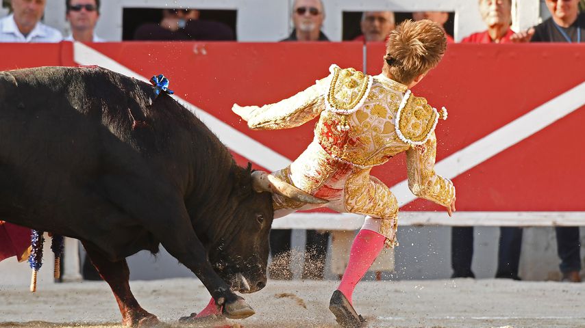 Nach 2017: Torero-Star (20) zum zweiten Mal aufgespießt!