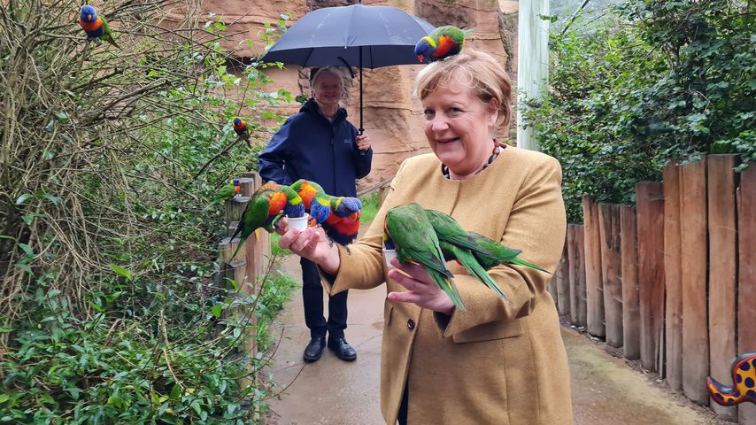 Angela Merkel, Bundeskanzlerin