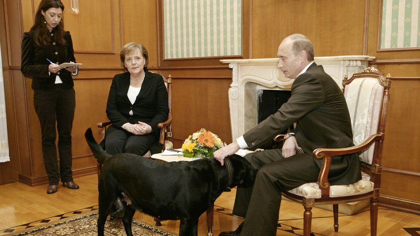 Angela Merkel und Wladimir Putin in Sotschi, Russland