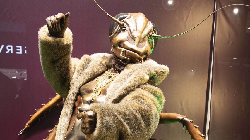 Angelo Kelly als "The Masked Singer"-Kakerlake