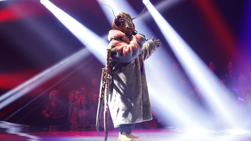 Angelo Kelly als "The Masked Singer"-Kakerlake