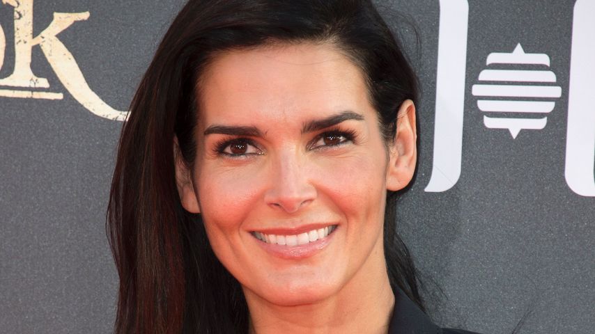 Angie Harmon, Schauspielerin