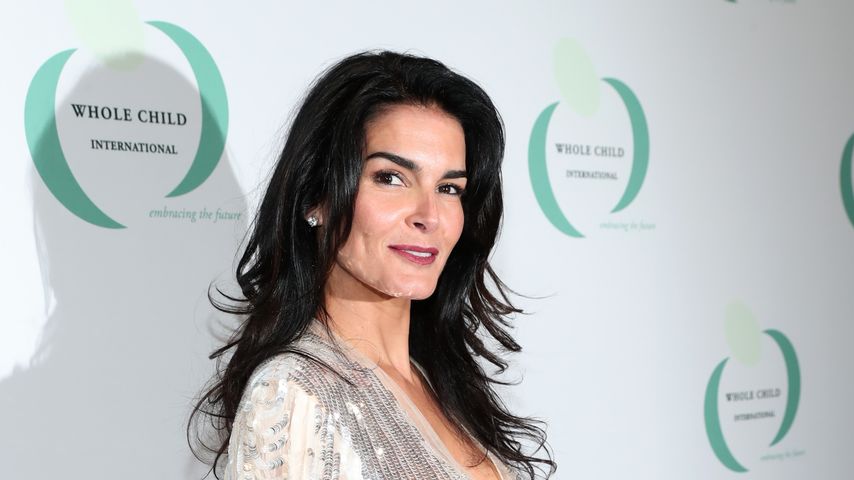 Hund erschossen: Angie Harmon verklagt den Schützen jetzt!