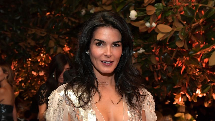Angie Harmon, Schauspielerin