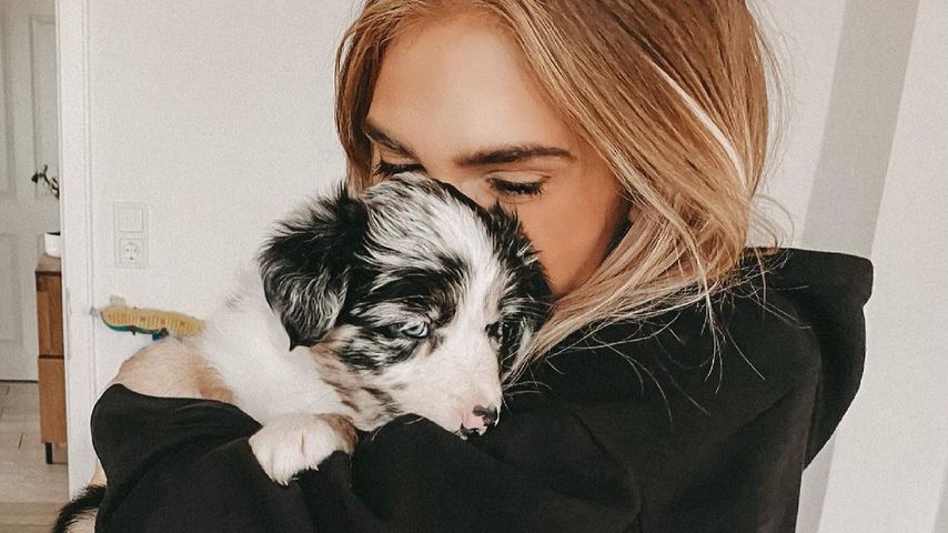 Hundewelpe: Baby-Generalprobe für Bloggerin Anika Teller?