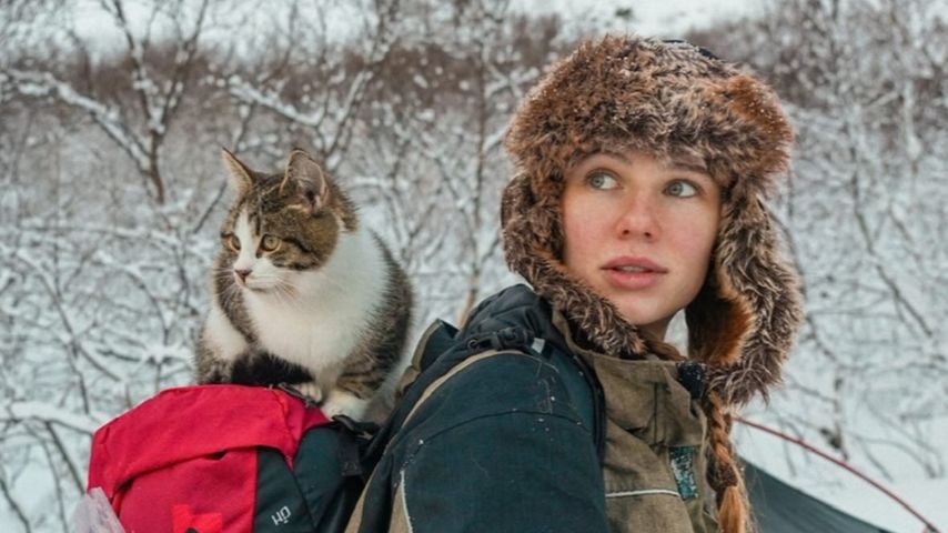 Influencerin Ann-Kathrin Bendixen trauert um ihre Katze Babu