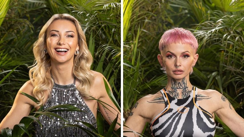 Anna-Carina und Edith zoffen beim Dschungelcamp-Wiedersehen