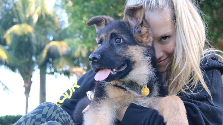 Anna Kournikova und ihr Hund Max in Miami im Oktober 2019