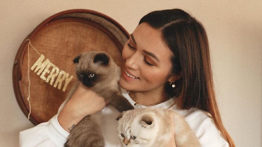Zuchtkatzen? Anna Maria Damm wehrt sich gegen Kritiker