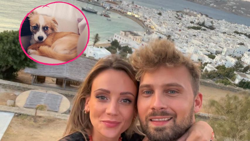 Schockmoment: Dominik Stuckmanns Hund wurde fast überfahren