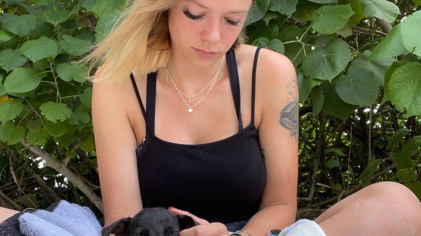 Skurril? Anne Wünsche möchte Hund von den Seychellen holen