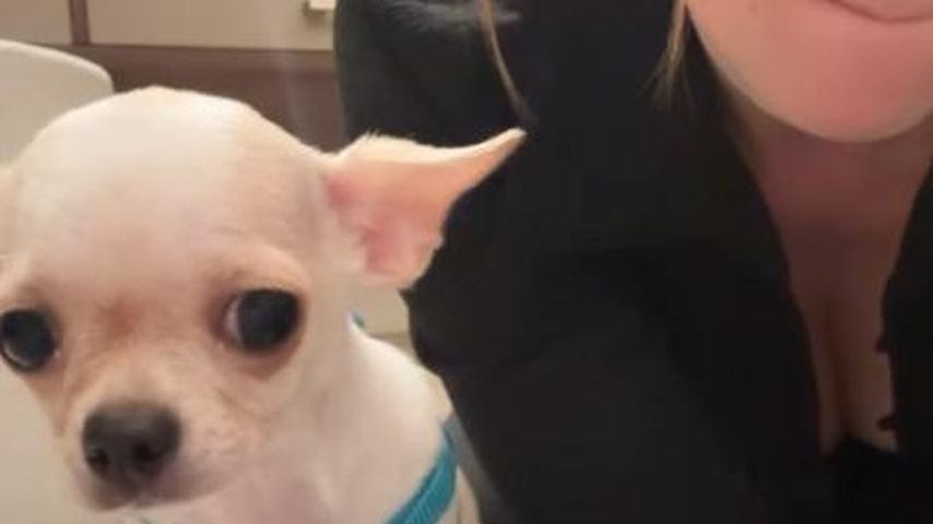 Anne Wünsche und Hund Koko