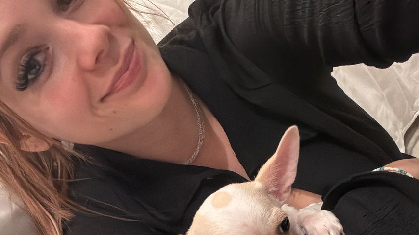 Das halten die Fans von Anne Wünsches spontanem Hundekauf