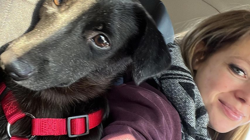 Schwangere Anne Wünsche hat einen dritten Hund adoptiert