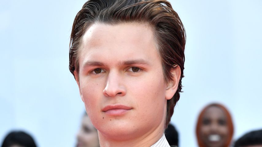 Prominente Küchenhilfe: Ansel Elgort hat's drauf!