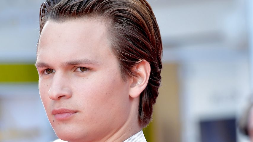 Schauspieler Ansel Elgort