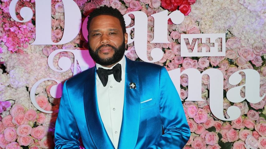 Anthony Anderson, Schauspieler
