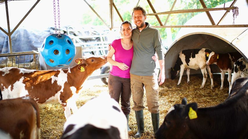 Antje, Arne und seine Kühe bei "Bauer sucht Frau"
