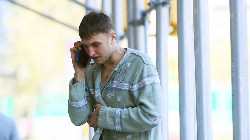 Anwar Hadid, Bruder von Bella Hadid