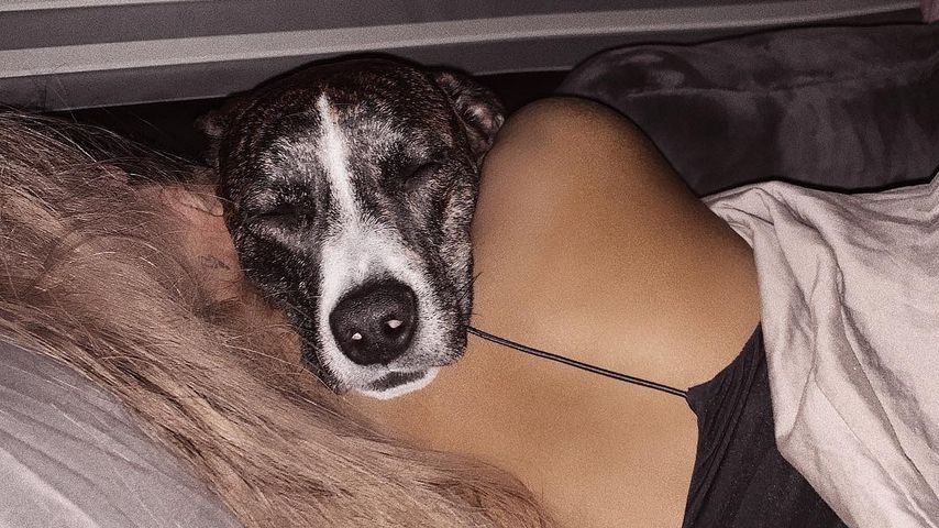 Ariana Grande mit ihrem Hund