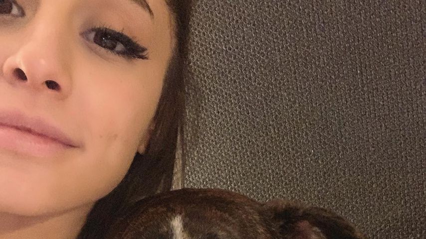 Ariana Grande und ihr Hund