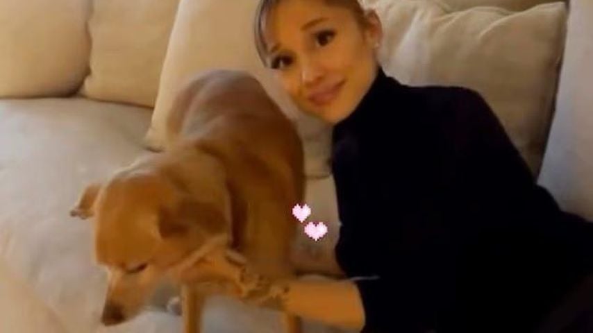 Ariana Grande und ihr Hund Toulouse im Dezember 2025